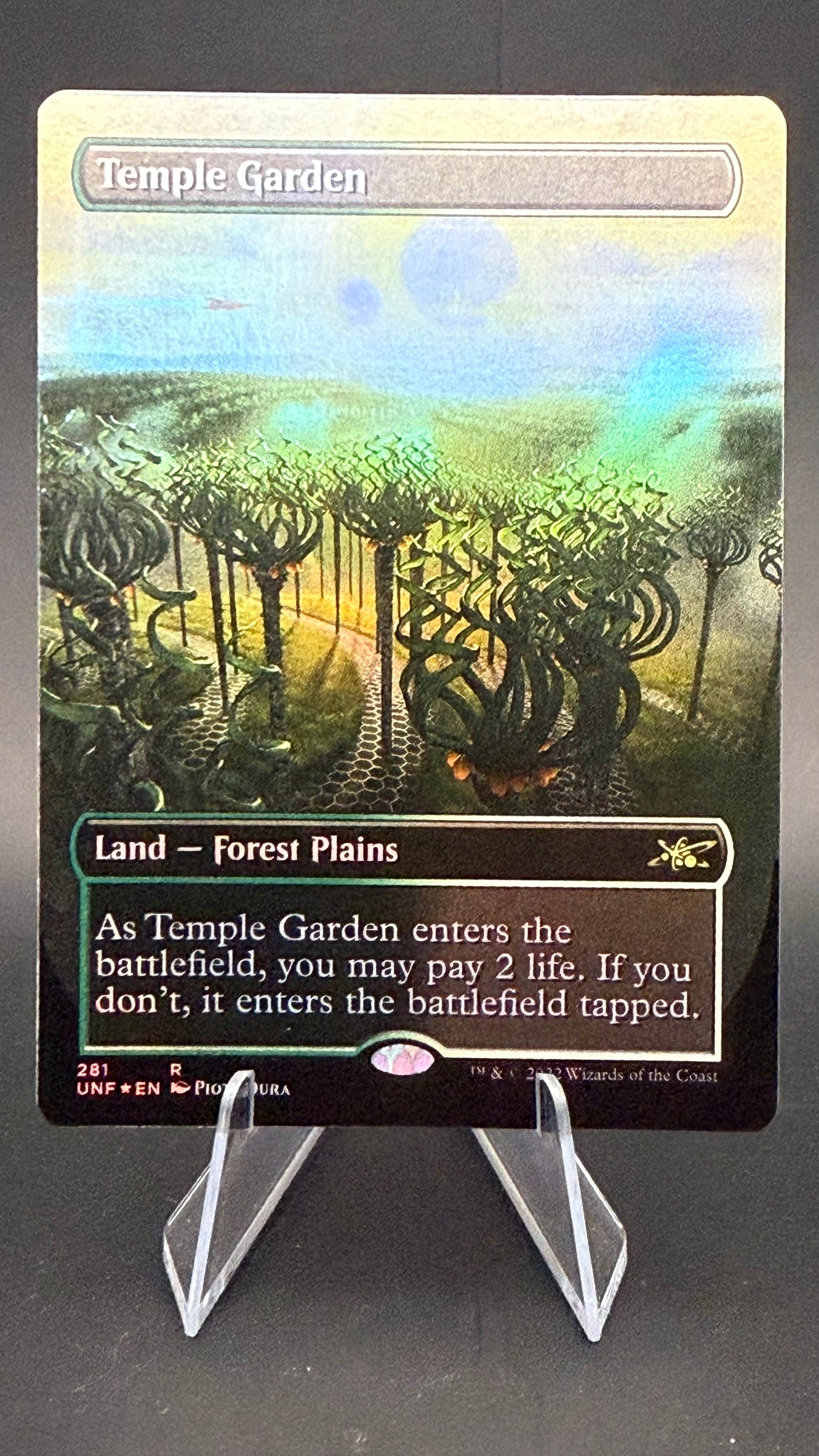 Temple Garden (Borderless) - Unfinity (UNF) Foil